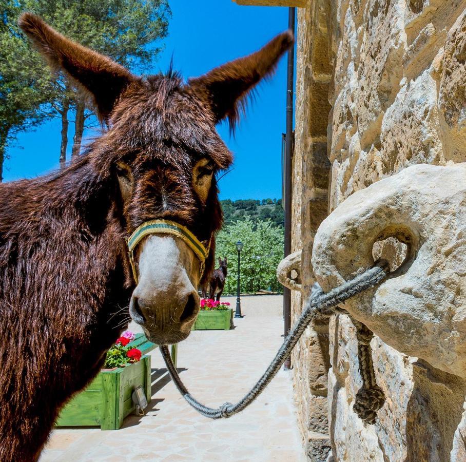 Bed & Breakfast La Quercia E L'asino 3*